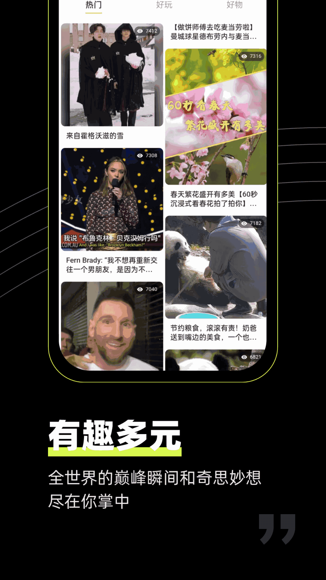 狮眼天下