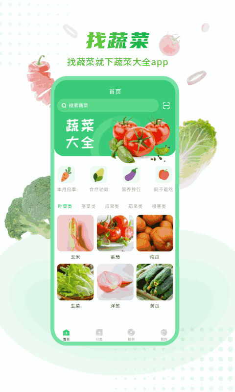 有机蔬菜